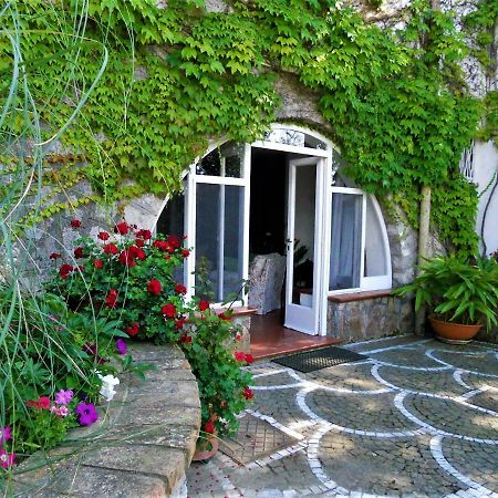 Villa Le Olivine Sorrent Exterior foto