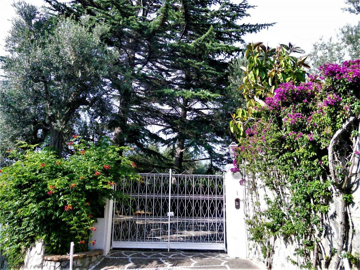 Villa Le Olivine Sorrent Exterior foto
